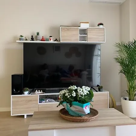 Bajo Con Jardin En Primera Linea De Playa Apartment Malaga